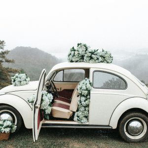 pexels-simeart-27880483